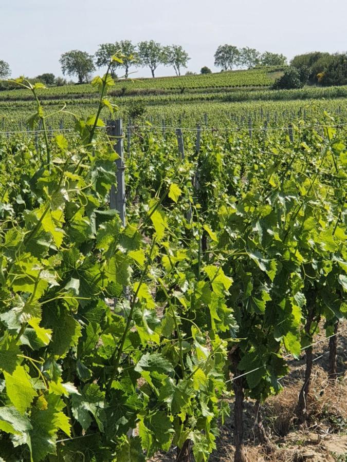 Appartamento La Grange Cazouls-d Herault Esterno foto
